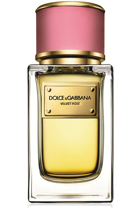 dolce gabbana desire 50ml|velvet rose dolce and gabbana.